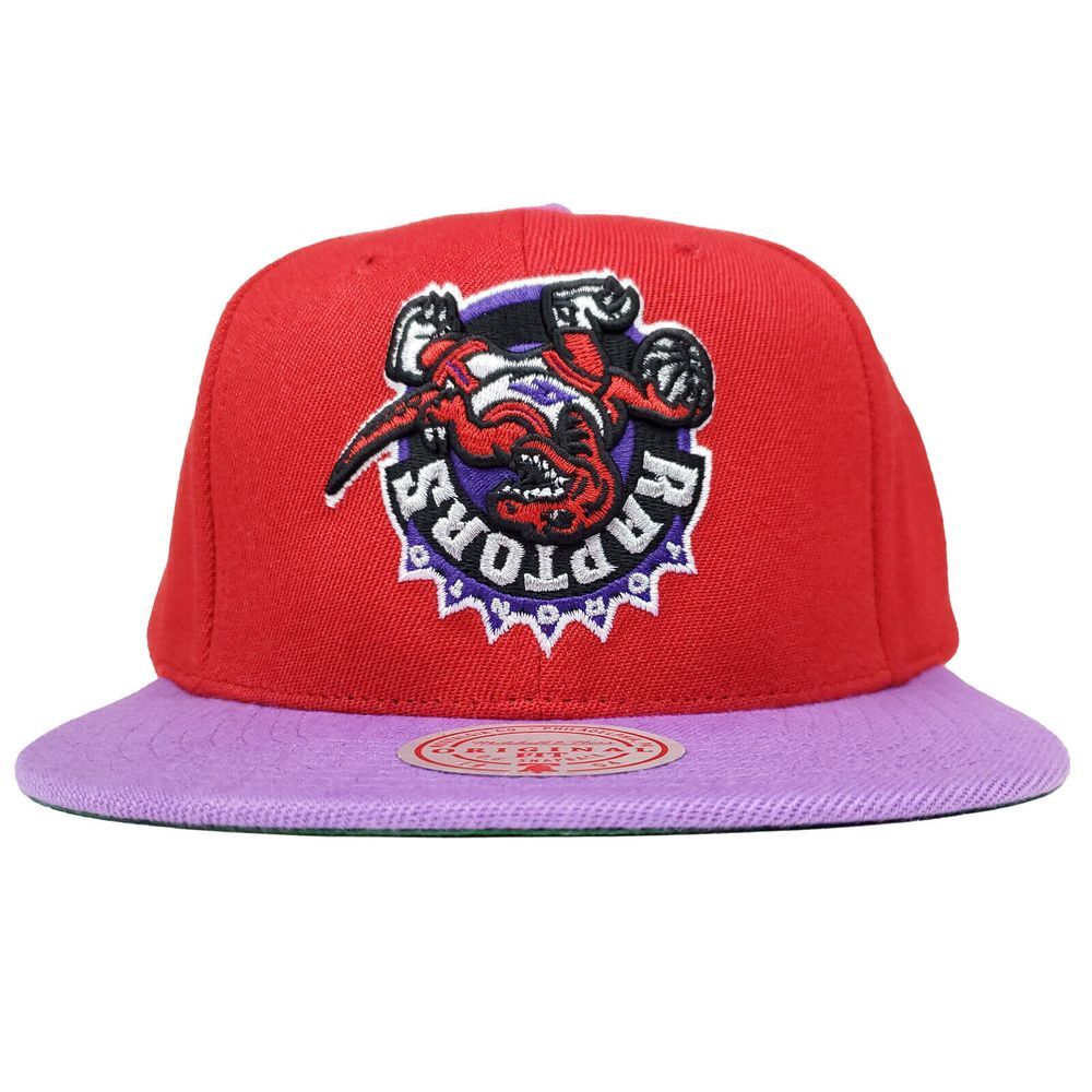 Toronto Raptors Mitchell & Ness NBA Snapback Hat Cap 3D Logo Upside Down Art NWT